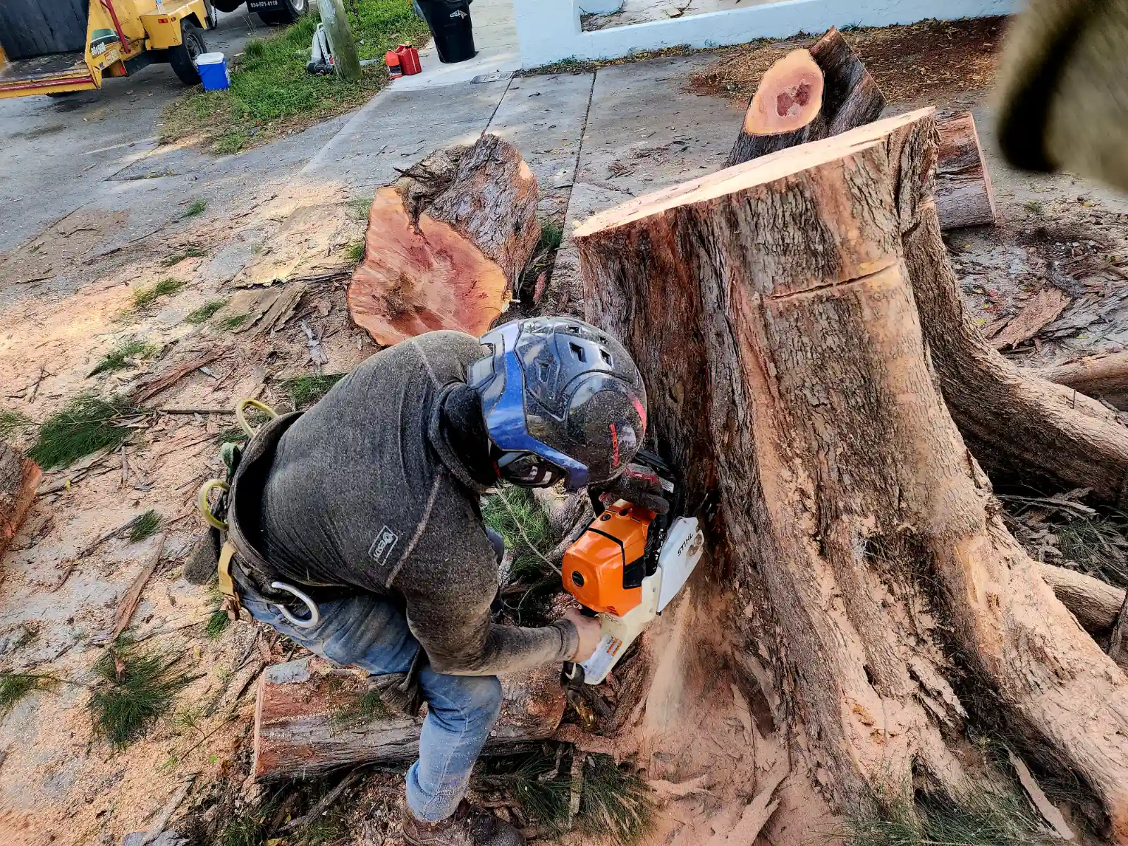 Full Tree Services 4